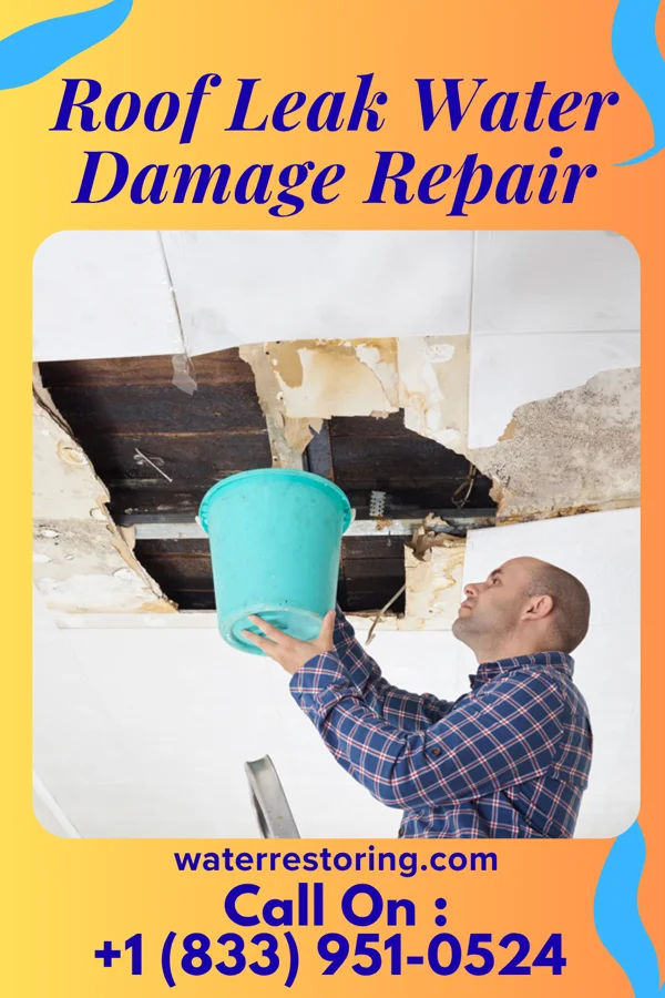 Roof Leak Water Damage Repair in Rib Mountain, WI