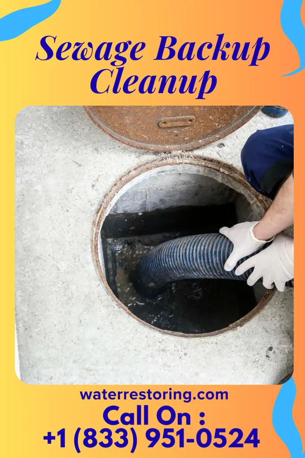 Sewage Backup Cleanup in Rib Mountain, WI